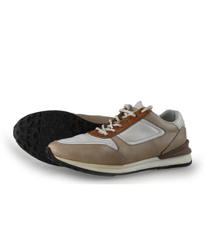 Greve Sneakers