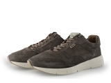 Greve Sneakers