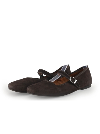 Manfield Ballerina's Bruin 354157
 Maat 39
 