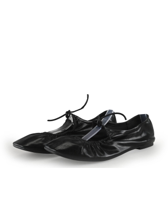 Sacha Ballerina's Bruin 354219
 Maat 38
 