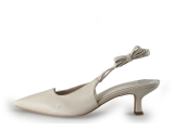 Sacha Pumps