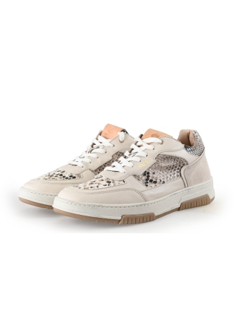 Fred de La Bretoniere Sneakers Wit 354549
 Maat 39
 