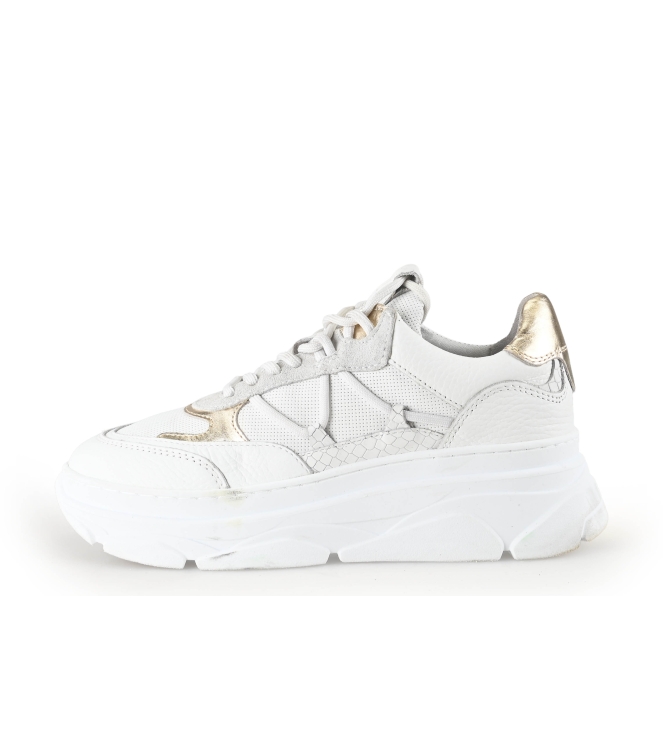 Sacha Sneakers