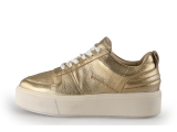 Sacha Sneakers