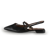Manfield Ballerina's