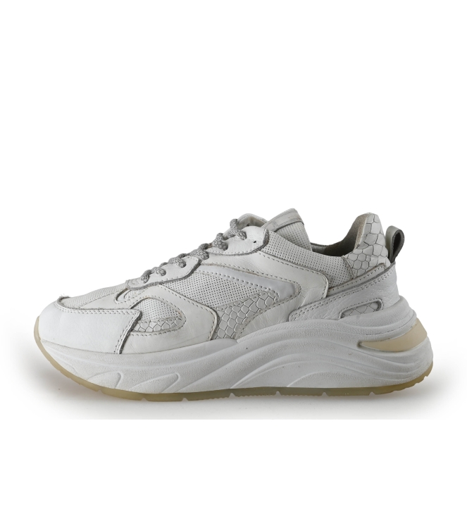 Manfield Sneakers