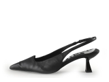 Sacha Pumps