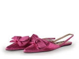 Sacha Ballerina's