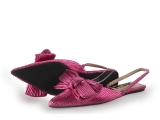 Sacha Ballerina's