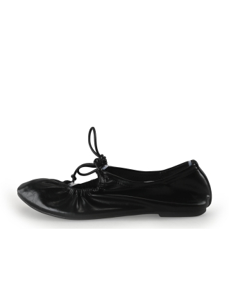 Sacha Ballerina's Bruin 354928
 Maat 38
 