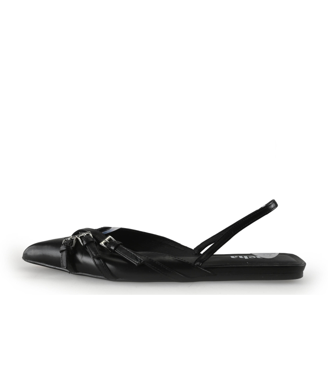Sacha Pumps
