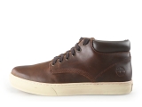 Timberland Sneakers