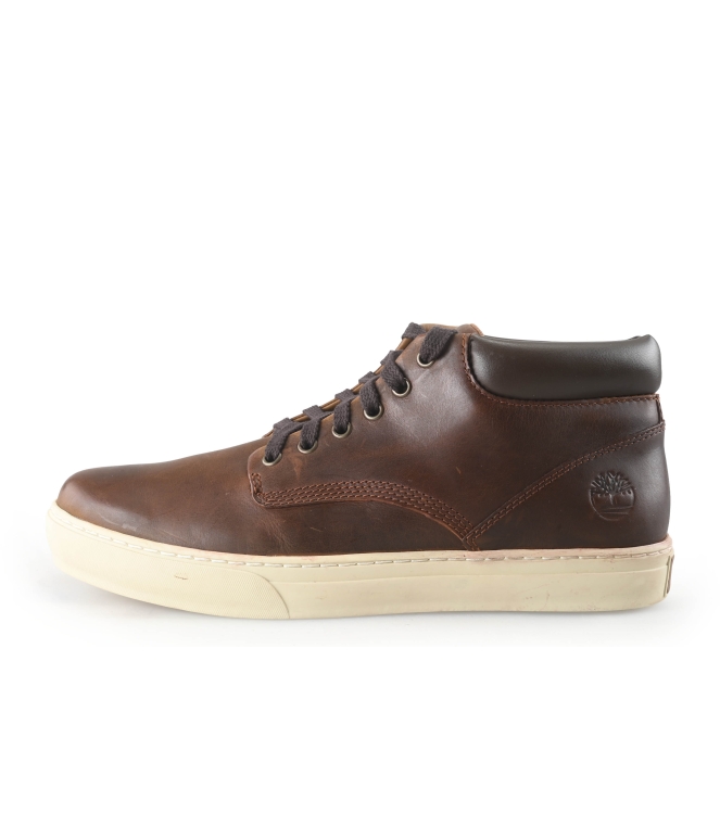 Timberland Sneakers