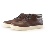 Timberland Sneakers