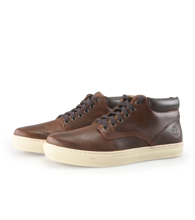 Timberland Sneakers
