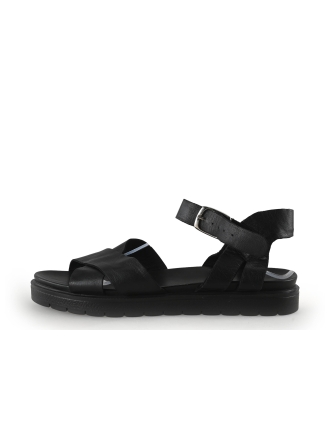 Manfield manfield 
 Maat 40
 
