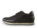 Greve Sneakers