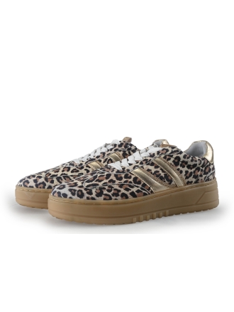 Poelman Sneakers Bruin 357200
 Maat 41
 