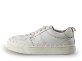 Chloe Sneakers