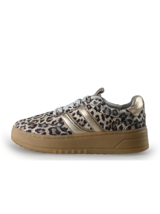 Poelman Sneakers Bruin 357405
 Maat 40
 