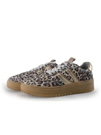 Poelman Sneakers Bruin 357405
 Maat 40
 