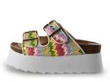 Colors of California Slippers