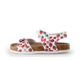 Colors of California Sandalen
