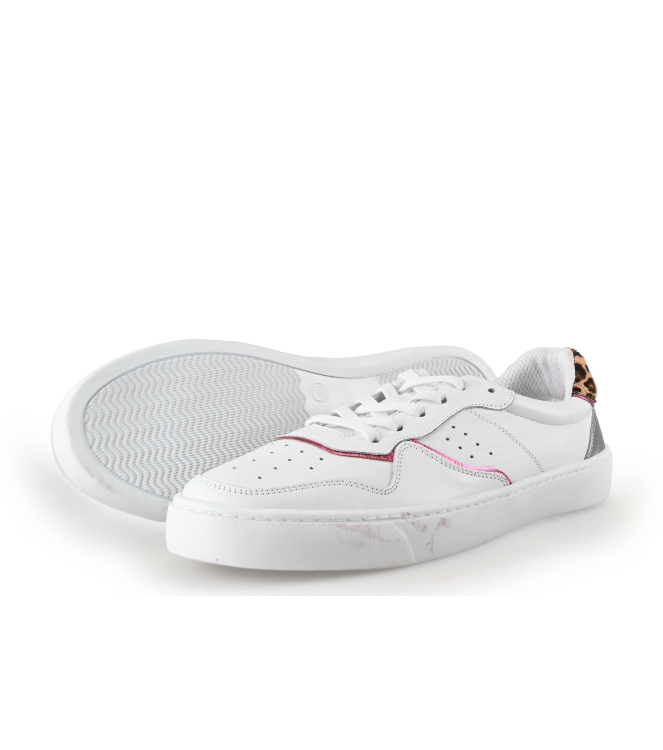 Colors of California Sneakers