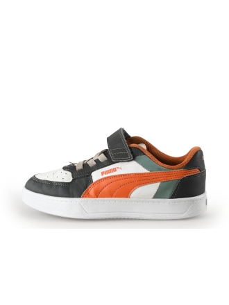 Puma puma 
 Maat 33
 