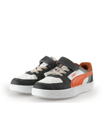 Puma puma 
 Maat 33
 