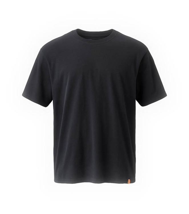 Dickies T-shirt