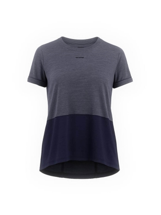 Icebreaker T-shirt Grijs 600846