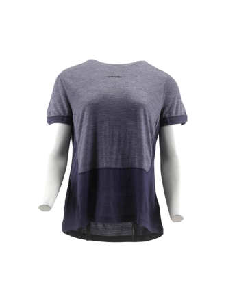 Icebreaker T-shirt Grijs 600846