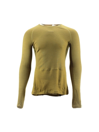 Icebreaker T-shirt Groen 600864