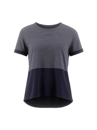 Icebreaker T-shirt Grijs 600874