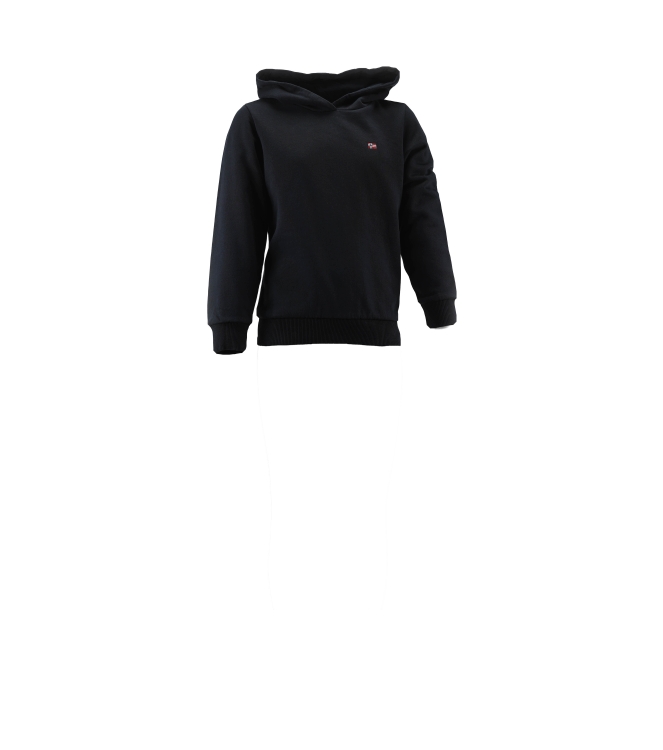 Napapijri Hoodie