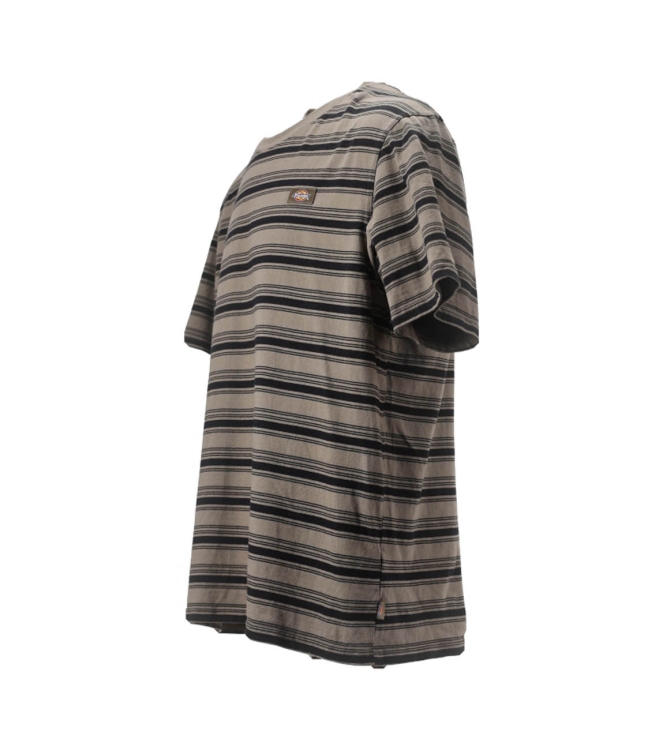 Dickies T-shirt
