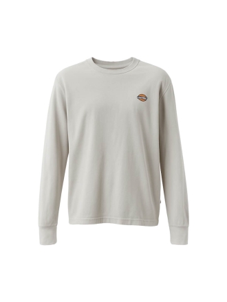 Dickies T-shirt Wit 601455