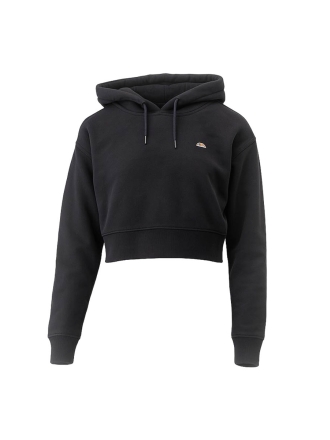 Dickies Hoodie Zwart 602361