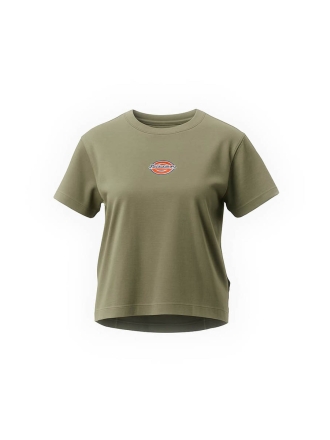 Dickies T-shirt Groen 602371