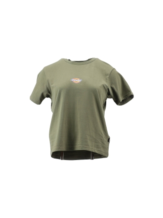Dickies T-shirt Groen 602371