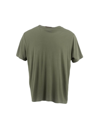 Icebreaker T-shirt Groen 602529