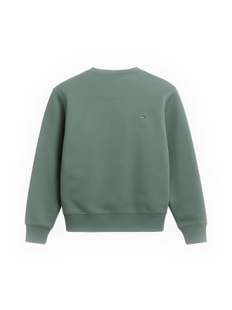 Napapijri Hoodie Groen 602532