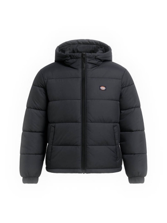 Dickies Jas Zwart 602559