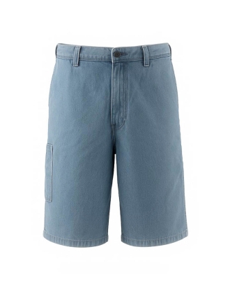 Dickies Broek Blauw 602695