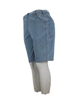 Dickies Broek Blauw 602745