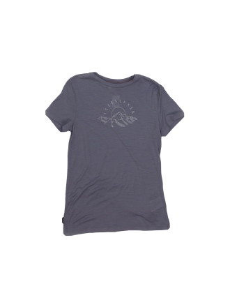 Icebreaker T-shirt Grijs 603007
