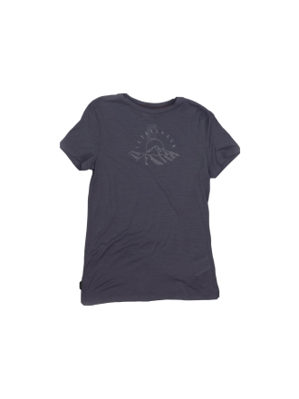 Icebreaker T-shirt Grijs 603007