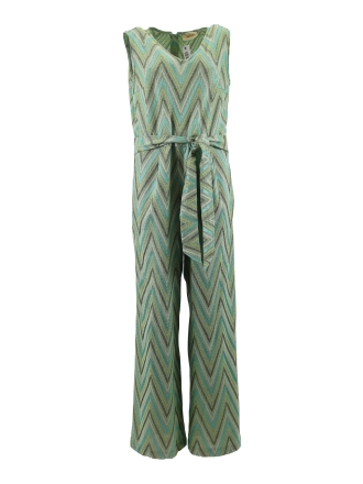 Cartoon jumpsuits Groen 604042