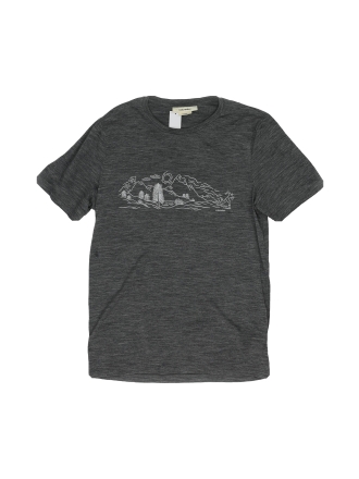 Icebreaker T-shirt Grijs 604575